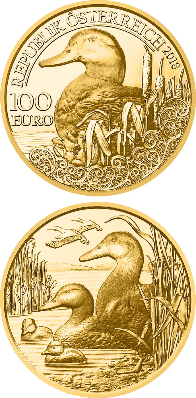 Image of 100 euro coin - The Mallard | Austria 2018.  The Gold coin is of Proof quality.