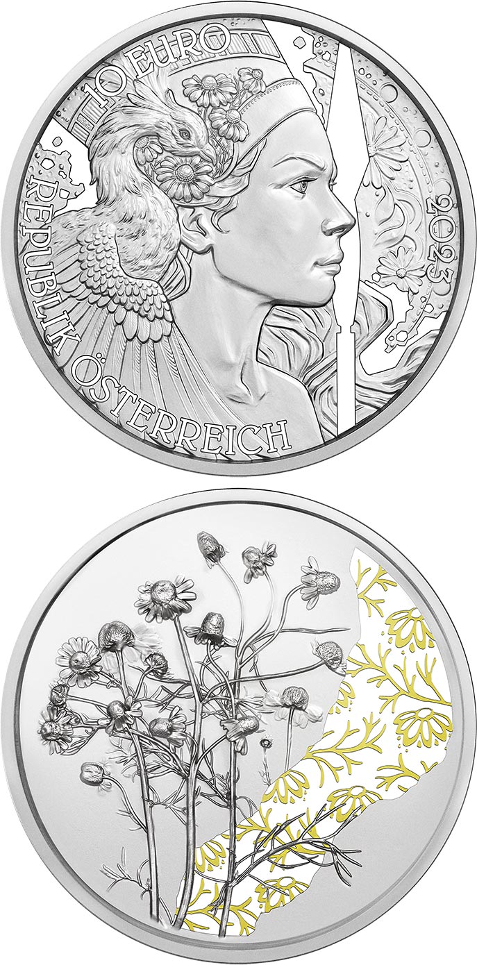 Image of 10 euro coin - The Chamomile | Austria 2023.  The Silver coin is of Proof, BU, UNC quality.
