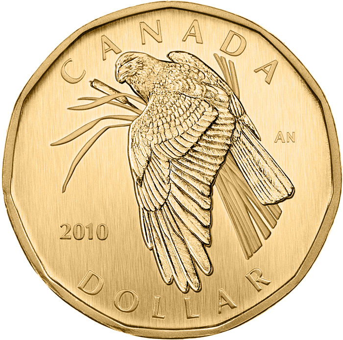 Image of 1 dollar coin - Northern Harrier | Canada 2010.  The Nickel, bronze plating coin is of BU quality.