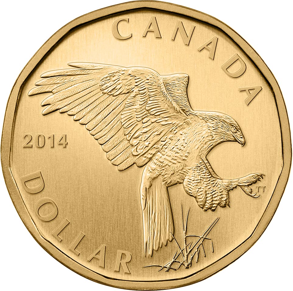 Image of 1 dollar coin - Ferruginous Hawk Loon | Canada 2014