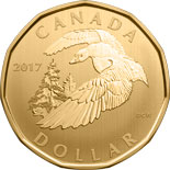 1 dollar coin Snow Goose | Canada 2017