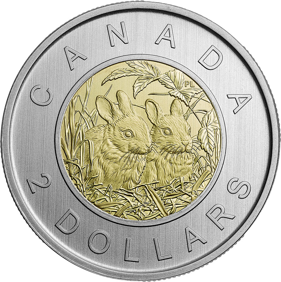 Image of 2 dollars coin - Baby Rabbits | Canada 2014