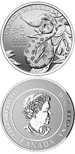 20 dollar coin Year of the Snake  | Canada 2013