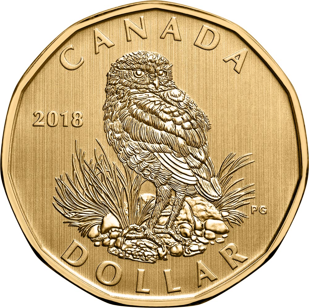 Image of 1 dollar coin - Burrowing Owl | Canada 2018