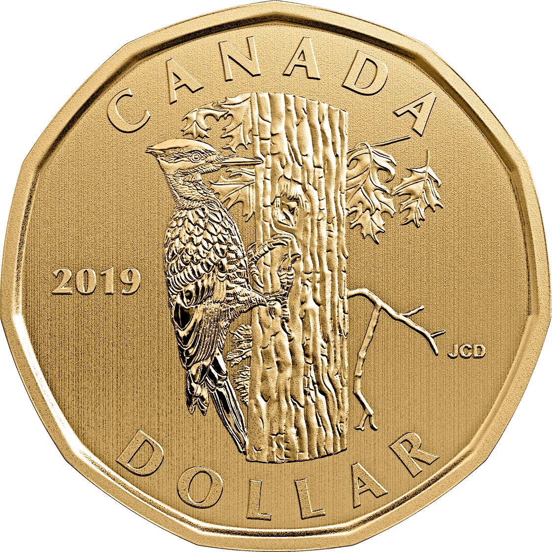 Image of 1 dollar coin - Pileated Woodpecker | Canada 2019
