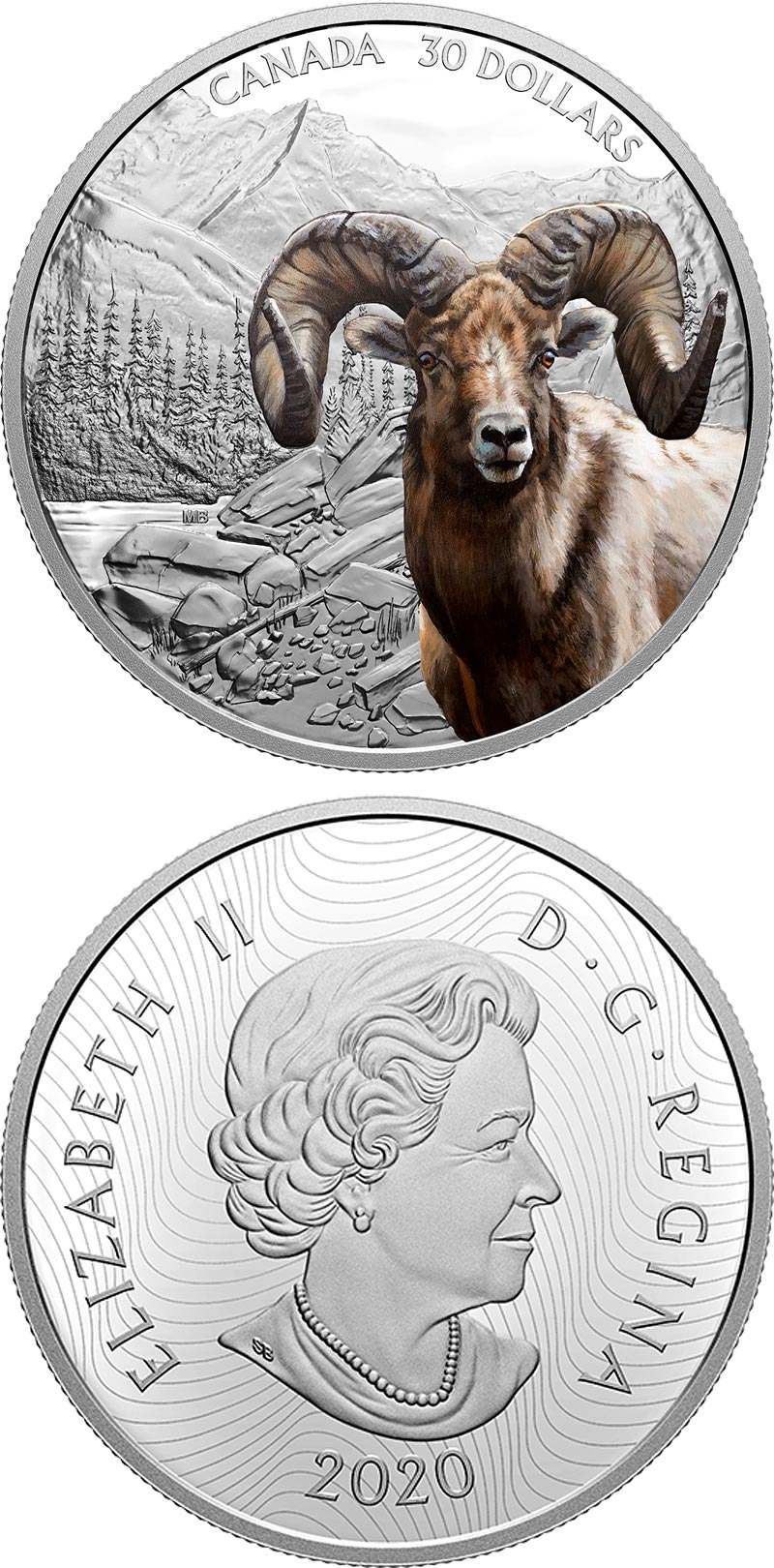Image of 30 dollars coin - Bighorn Sheep | Canada 2020.  The Silver coin is of Proof quality.