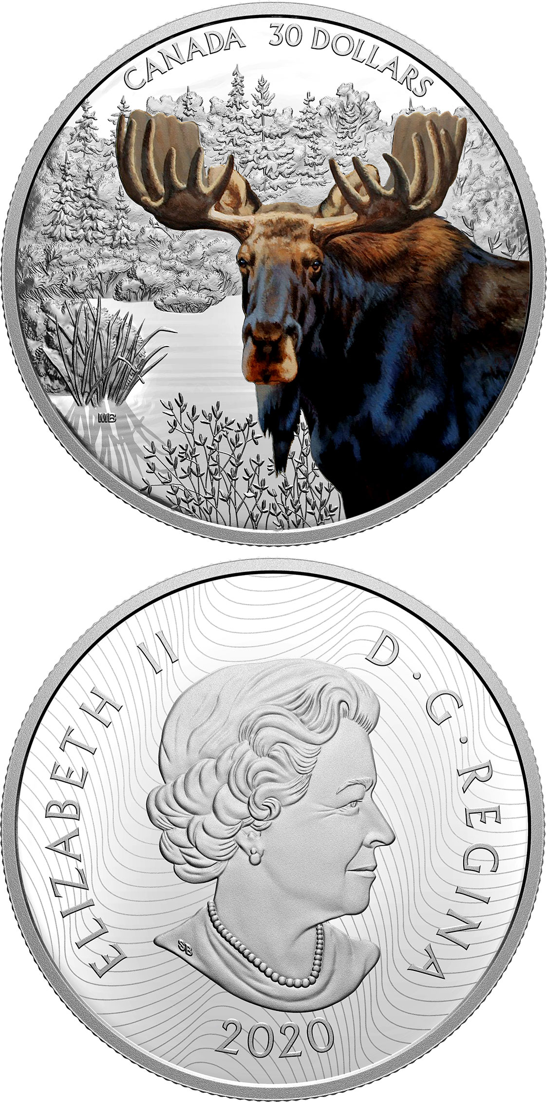 Image of 30 dollars coin - Moose | Canada 2020.  The Silver coin is of Proof quality.