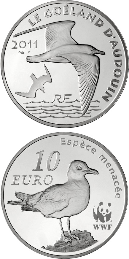 Image of 10 euro coin - WWF, Audouin’s Gull | France 2011.  The Silver coin is of Proof quality.