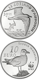 10 euro coin WWF, Audouin’s Gull | France 2011