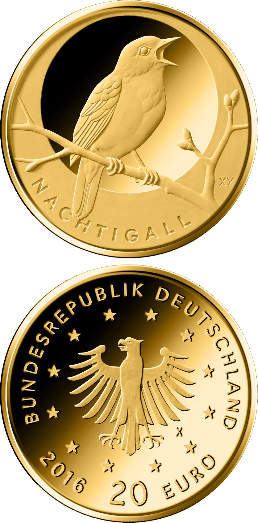 Image of 20 euro coin - Nachtigall  | Germany 2016.  The Gold coin is of Proof quality.