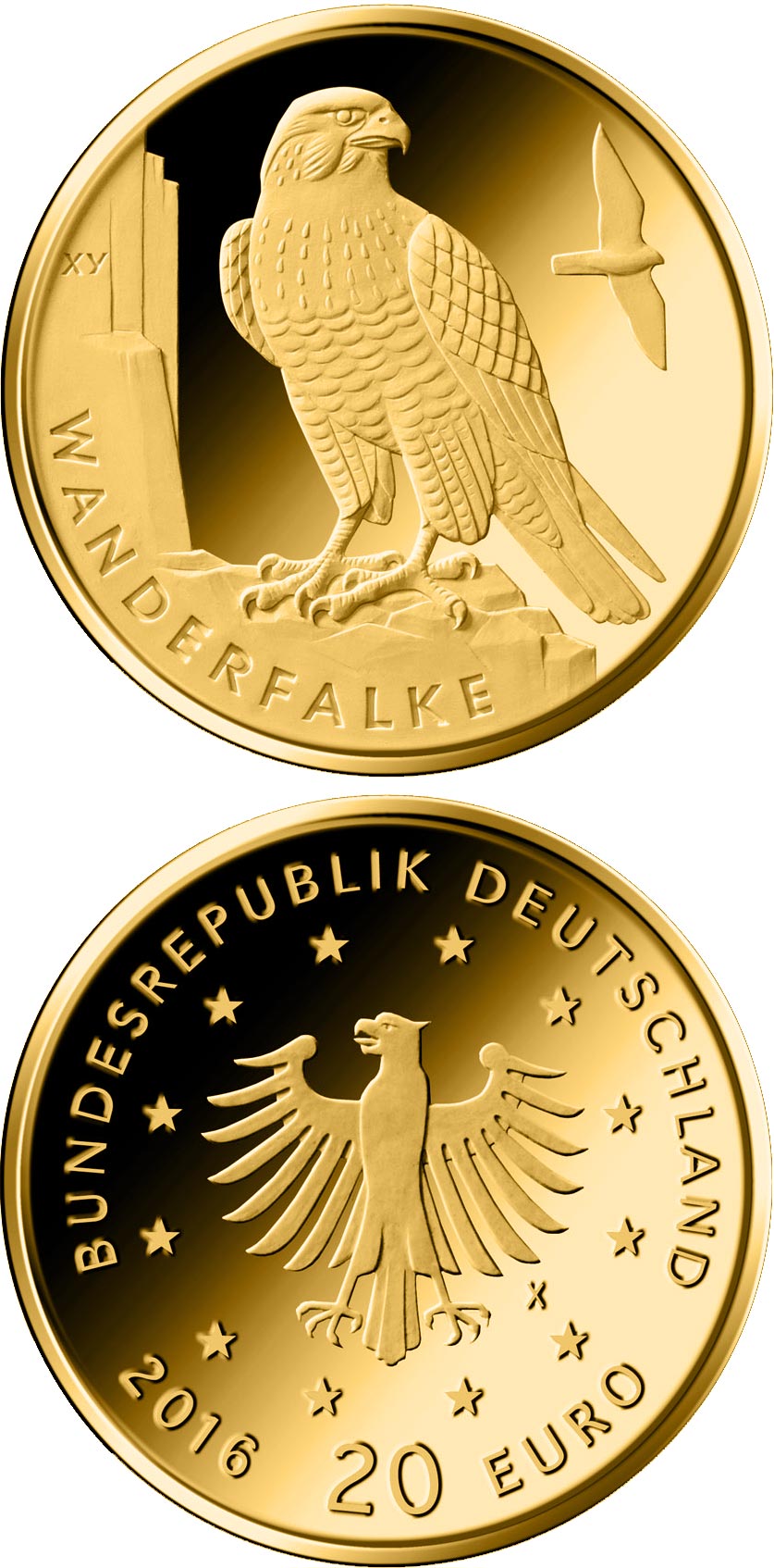 Image of 20 euro coin - Wanderfalke  | Germany 2019.  The Gold coin is of Proof quality.