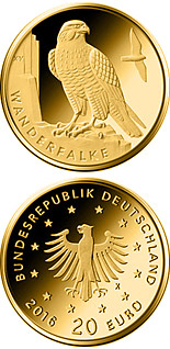 20 euro coin Wanderfalke  | Germany 2019