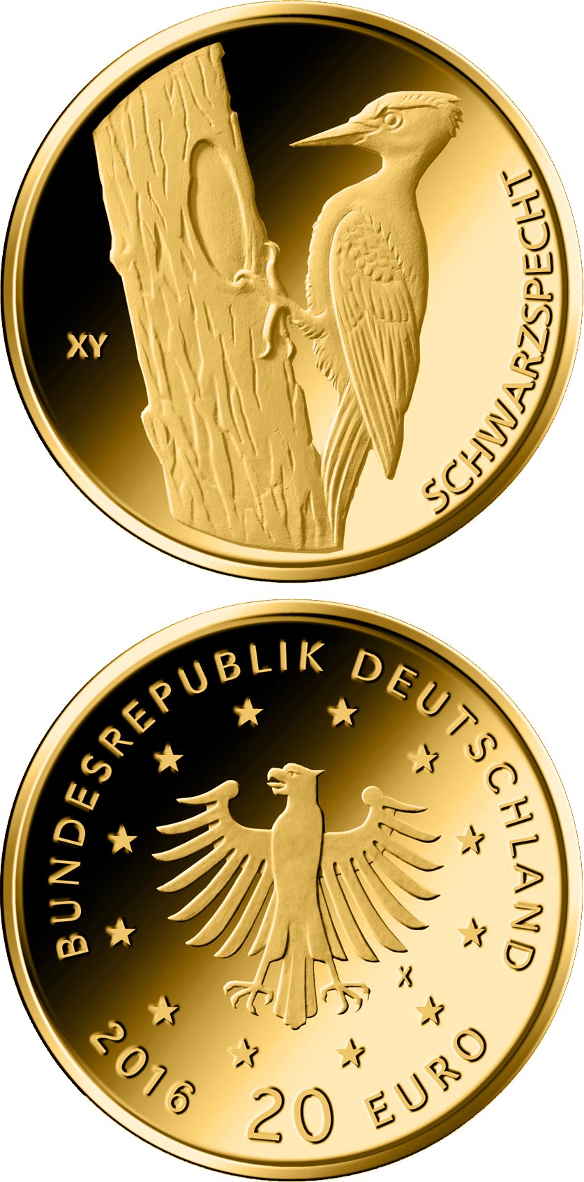 Image of 20 euro coin - Schwarzspecht  | Germany 2021.  The Gold coin is of Proof quality.