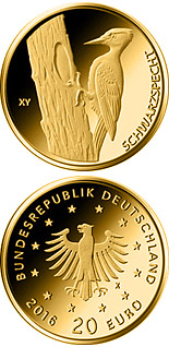 20 euro coin Schwarzspecht  | Germany 2021