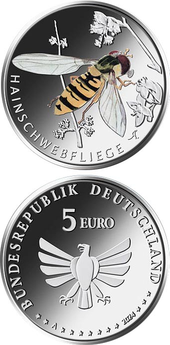 Image of 5 euro coin - Grove hoverfly | Germany 2024.  The Bimetal: CuNi, nordic gold coin is of Proof, BU quality.
