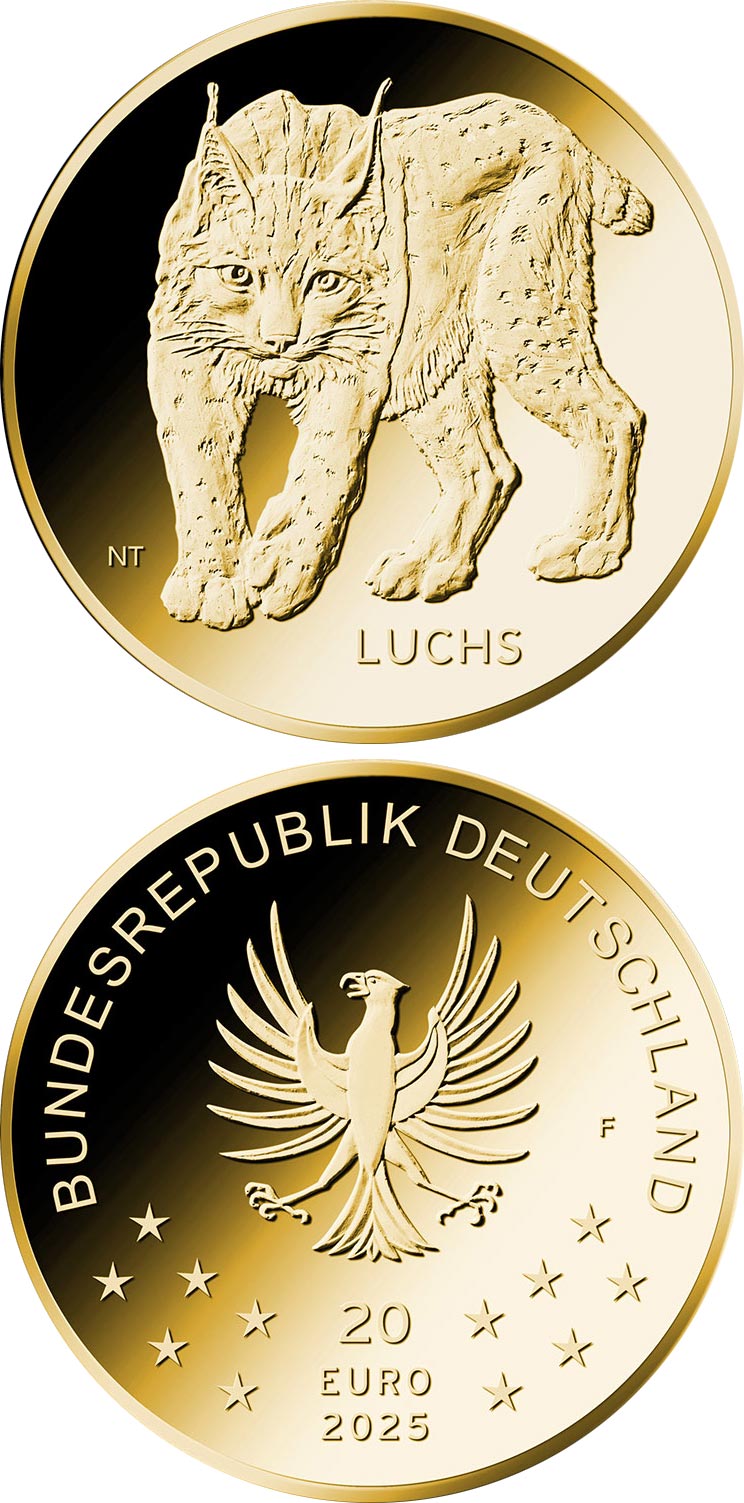 Image of 20 euro coin - Lynx | Germany 2025.  The Gold coin is of Proof quality.