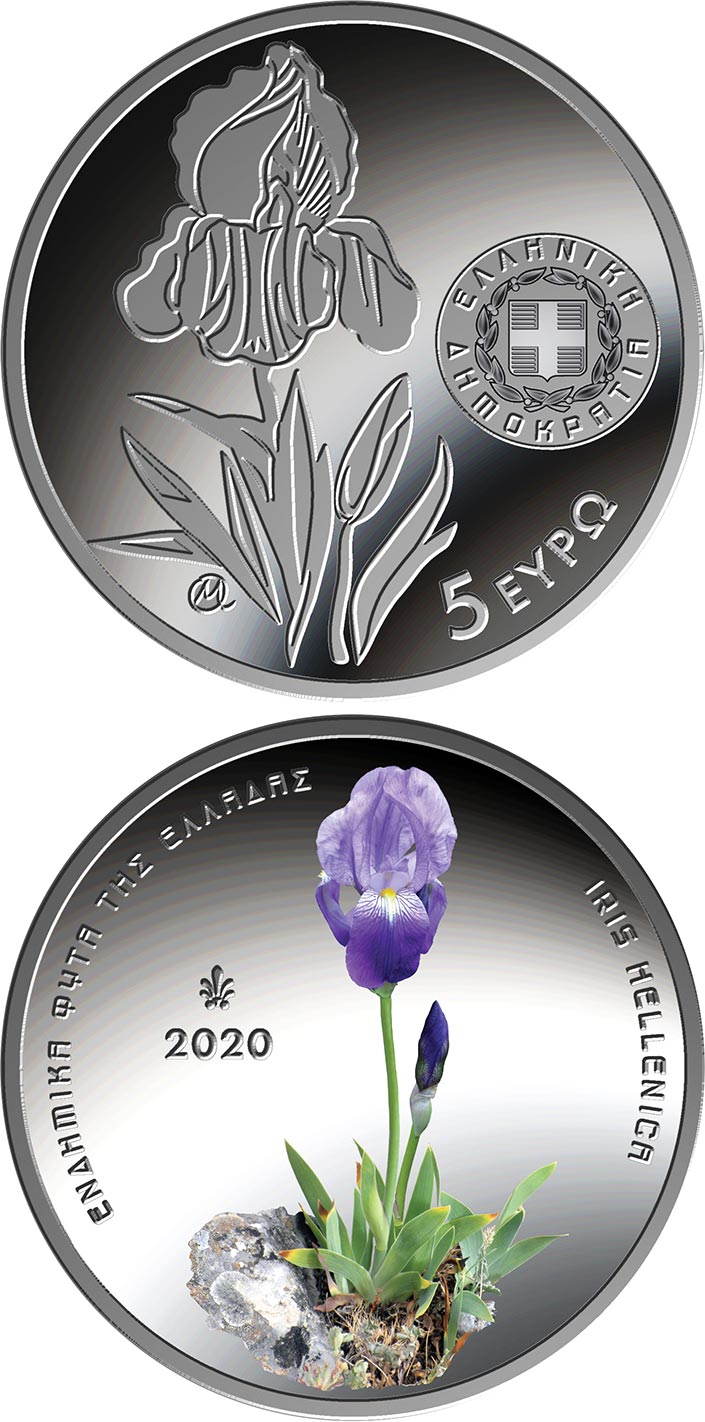 Image of 5 euro coin - Endemic Flora
of Greece ― Iris Hellenica | Greece 2020.  The Copper–Nickel (CuNi) coin is of proof-like quality.