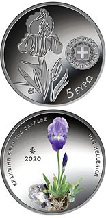 5 euro coin Endemic Flora
of Greece ― Iris Hellenica | Greece 2020