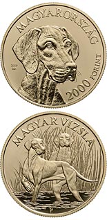 2000 forint coin The Hungarian vizsla | Hungary 2019