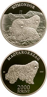 2000 forint coin The Komondor | Hungary 2020