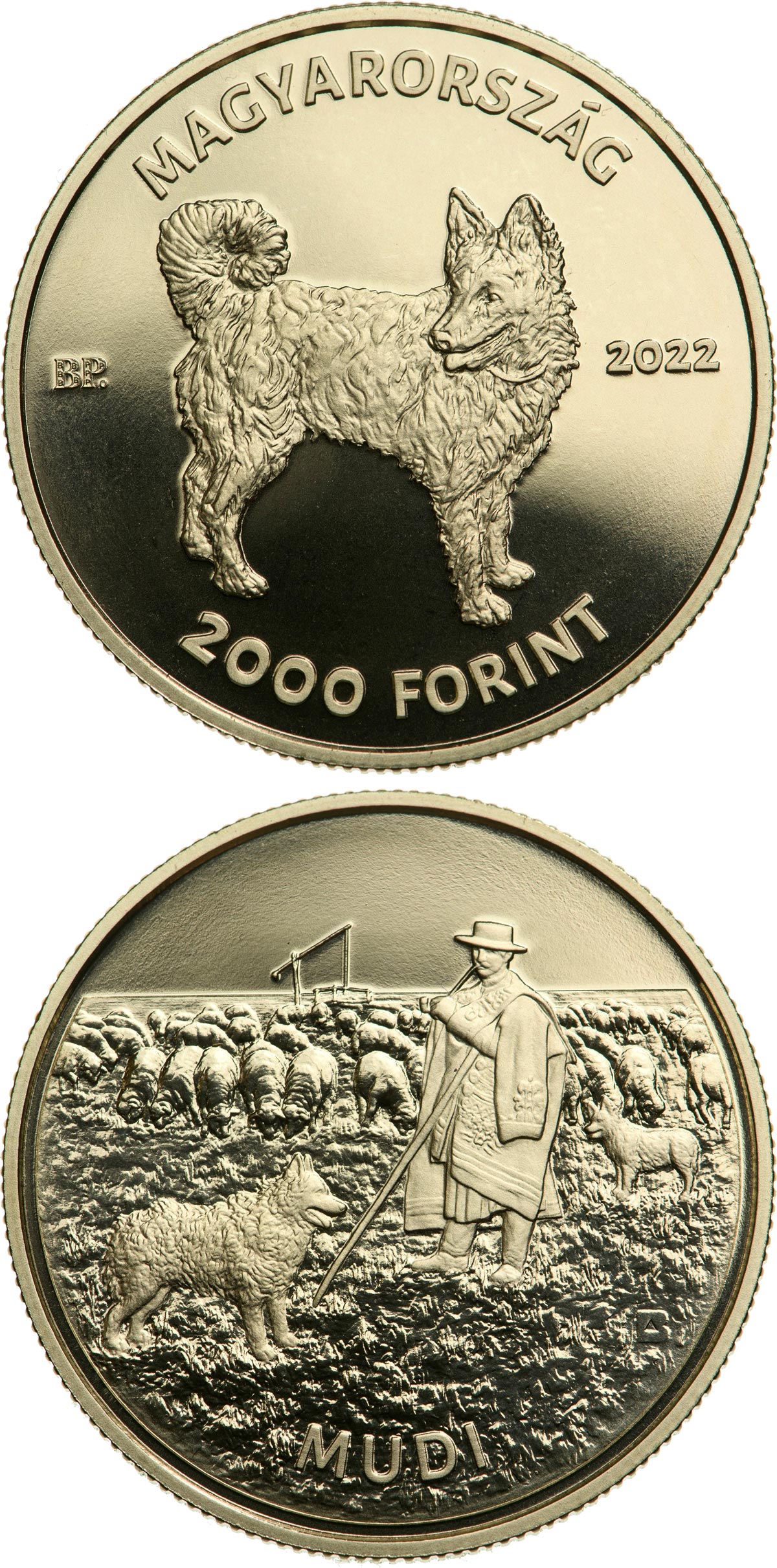 Image of 2000 forint coin - Mudi | Hungary 2022.  The Brass coin is of proof-like quality.