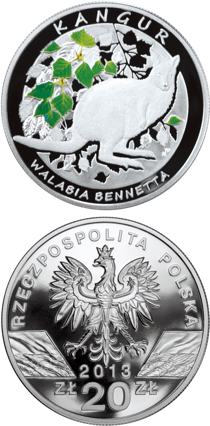 Image of 20 zloty coin - Kangaroo – Red-Necked Wallaby | Poland 2013.  The Silver coin is of Proof quality.