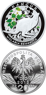 20 zloty coin Kangaroo – Red-Necked Wallaby | Poland 2013