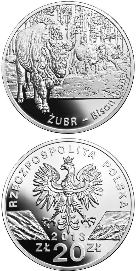 Image of 20 zloty coin - Wisent (Bison bonasus) | Poland 2013.  The Silver coin is of Proof quality.