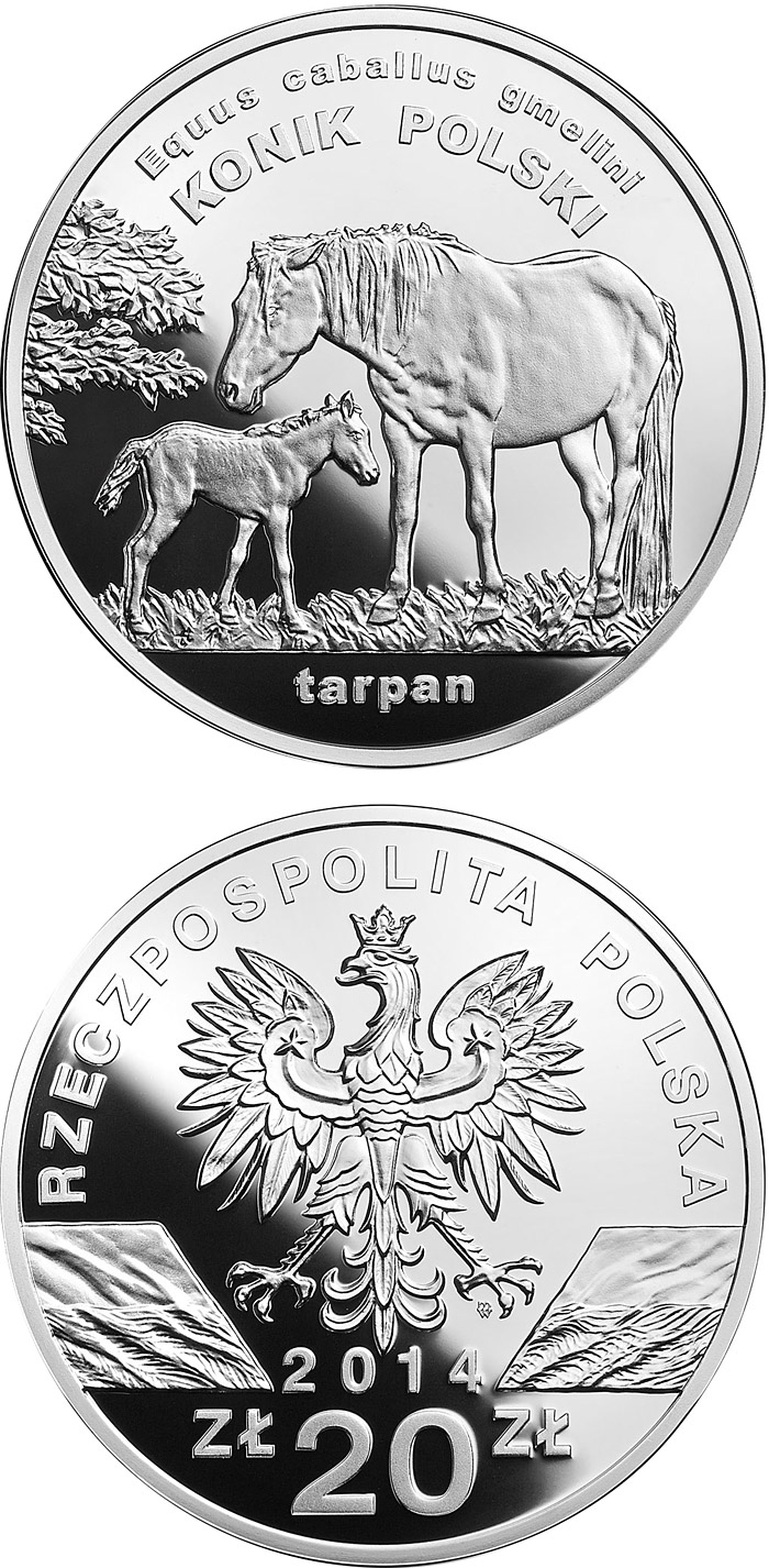 Image of 20 zloty coin - Polish konik horse  | Poland 2014.  The Silver coin is of Proof quality.