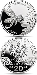 20 zloty coin Honeybee | Poland 2015