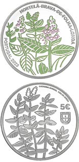 5 euro coin Longleaf spearmint (mentha longifolia)  | Portugal 2023