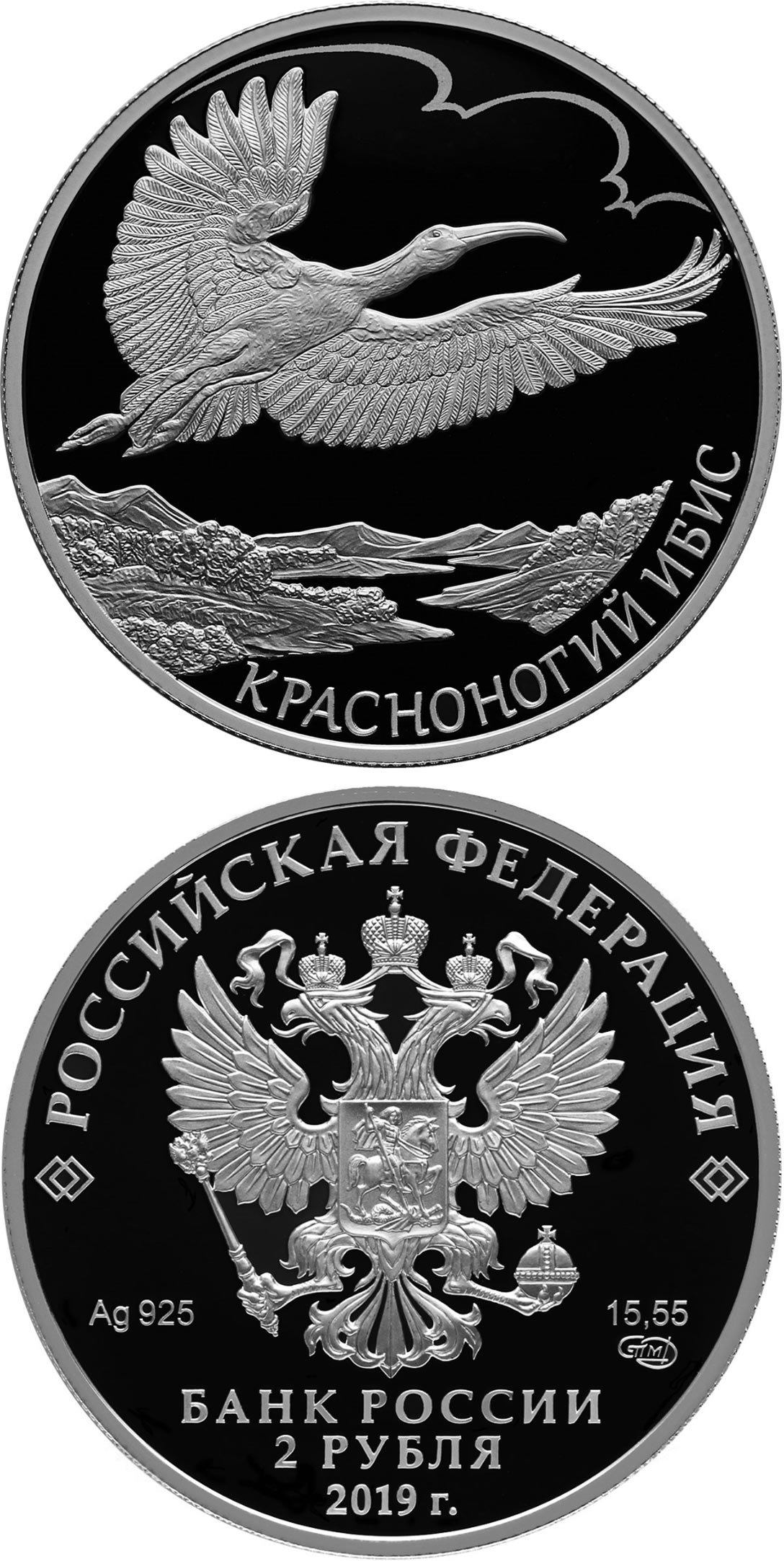 Image of 2 rubles coin - Japanese Crested Ibis | Russia 2019.  The Silver coin is of Proof quality.