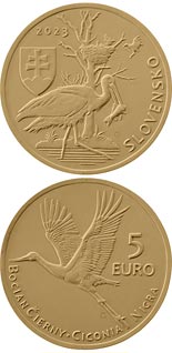 5 euro coin Black stork | Slovakia 2023