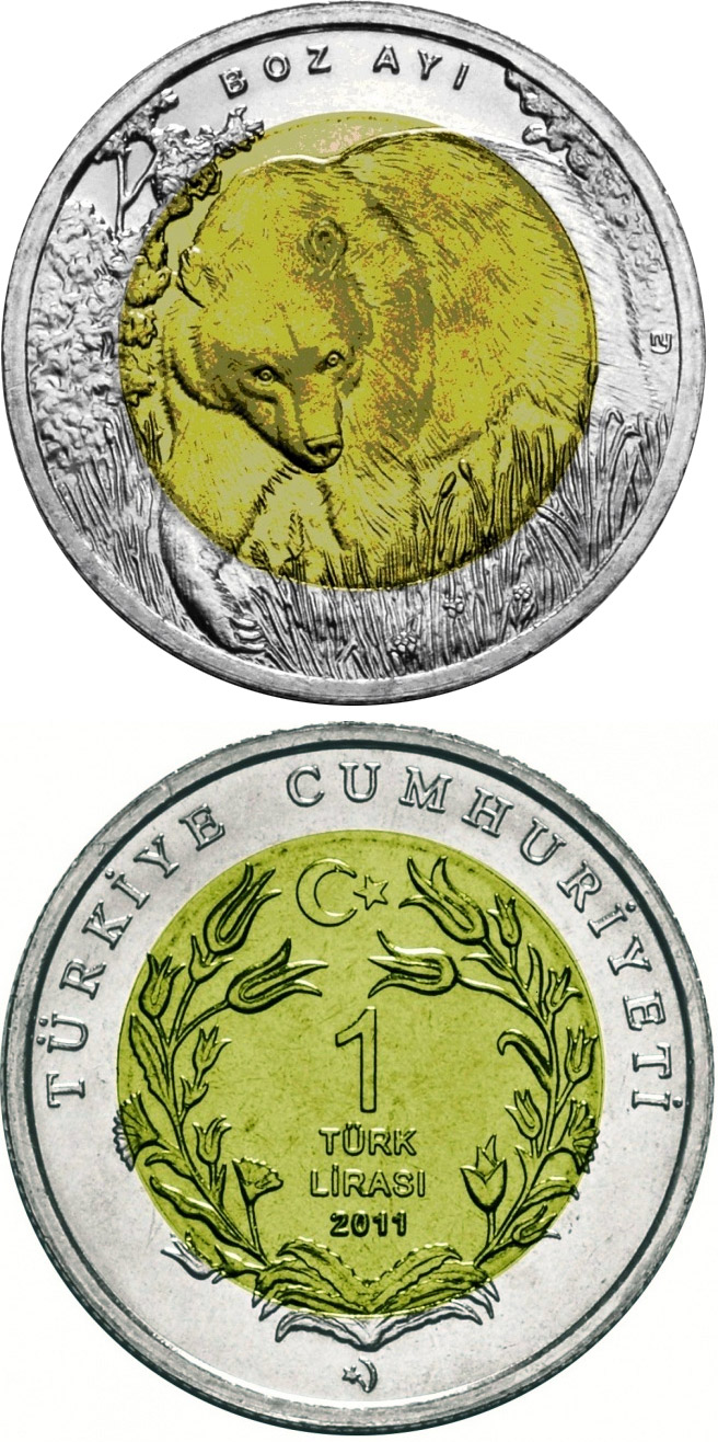 Image of 1 Lira coin - Grizzly Bear  | Turkey 2011.  The German silver (CuNiZn) coin is of UNC quality.
