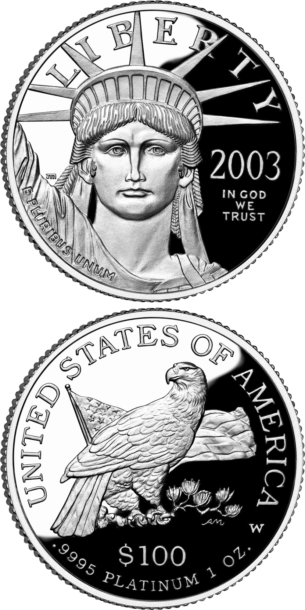 Image of 100 dollars coin - American Eagle Platinum One Ounce Proof Coin | USA 2003