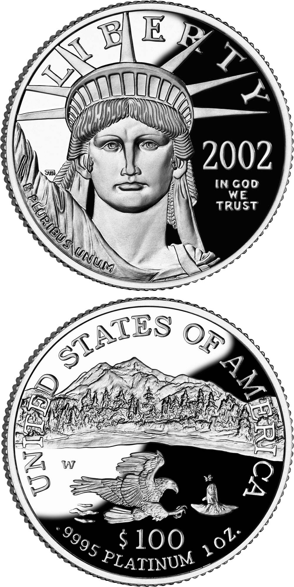 Image of 100 dollars coin - American Eagle Platinum One Ounce Proof Coin | USA 2002
