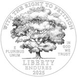 100 dollar coin Right to Petition | USA 2025