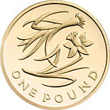 1 pound coin The Floral Pound: England | United Kingdom 2013