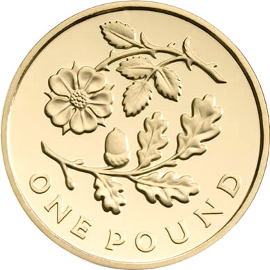 Image of 1 pound coin - The Floral Pound: Wales | United Kingdom 2013.  The Brass coin is of BU quality.