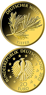 Image of 20 euro coin - Kiefer | Germany 2013.  The Gold coin is of Proof quality.