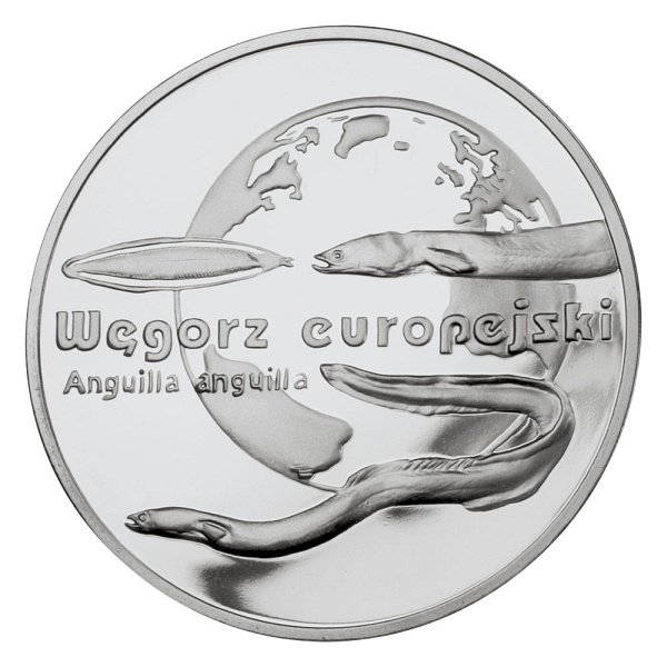 20 zloty European Eel - 2003 - Series: Animals of the World  - Poland