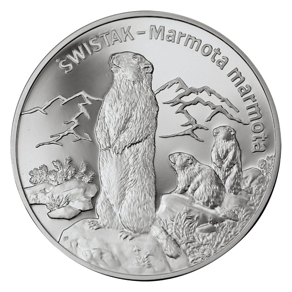 20 zloty Marmot - 2006 - Series: Animals of the World  - Poland