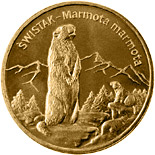 Image of 2 zloty coin - Marmot | Poland 2006.  The Nordic gold (CuZnAl) coin is of UNC quality.