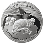 Image of 20 zloty coin - Grey seal | Poland 2007.  The Silver coin is of Proof quality.