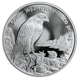 Image of 20 zloty coin - Peregrine falcon | Poland 2008.  The Silver coin is of Proof quality.
