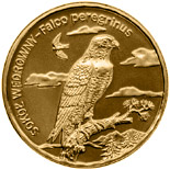 Image of 2 zloty coin - Peregrine falcon | Poland 2008.  The Nordic gold (CuZnAl) coin is of UNC quality.