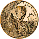 Image of 2 zloty coin - European Badger | Poland 2011.  The Nordic gold (CuZnAl) coin is of UNC quality.