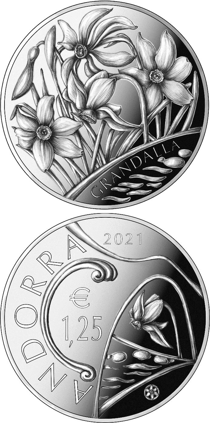 Image of 1.25 euro coin - Poet’s narcissus | Andorra 2021.  The Copper–Nickel (CuNi) coin is of UNC quality.