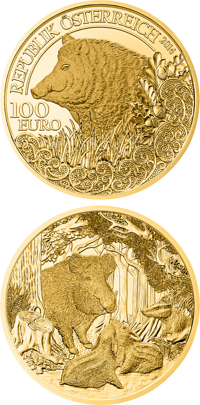 Image of 100 euro coin - The Wild Boar | Austria 2014.  The Gold coin is of Proof quality.