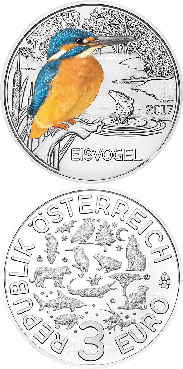 Image of 3 euro coin - The Kingfisher | Austria 2017.  The Copper coin is of UNC quality.